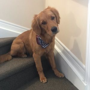 Meet your Posher, Courtney